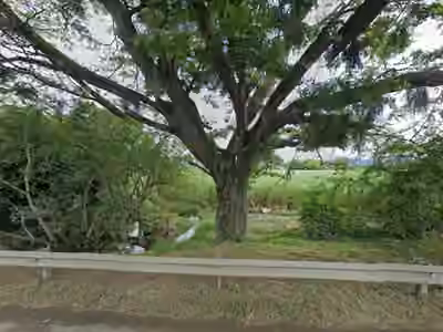 ODONTOLOGA MARIA VICTORIA QUINTERO