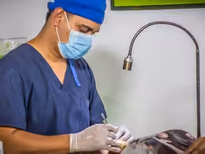 Odontohouse, el Profesional en tu Casa